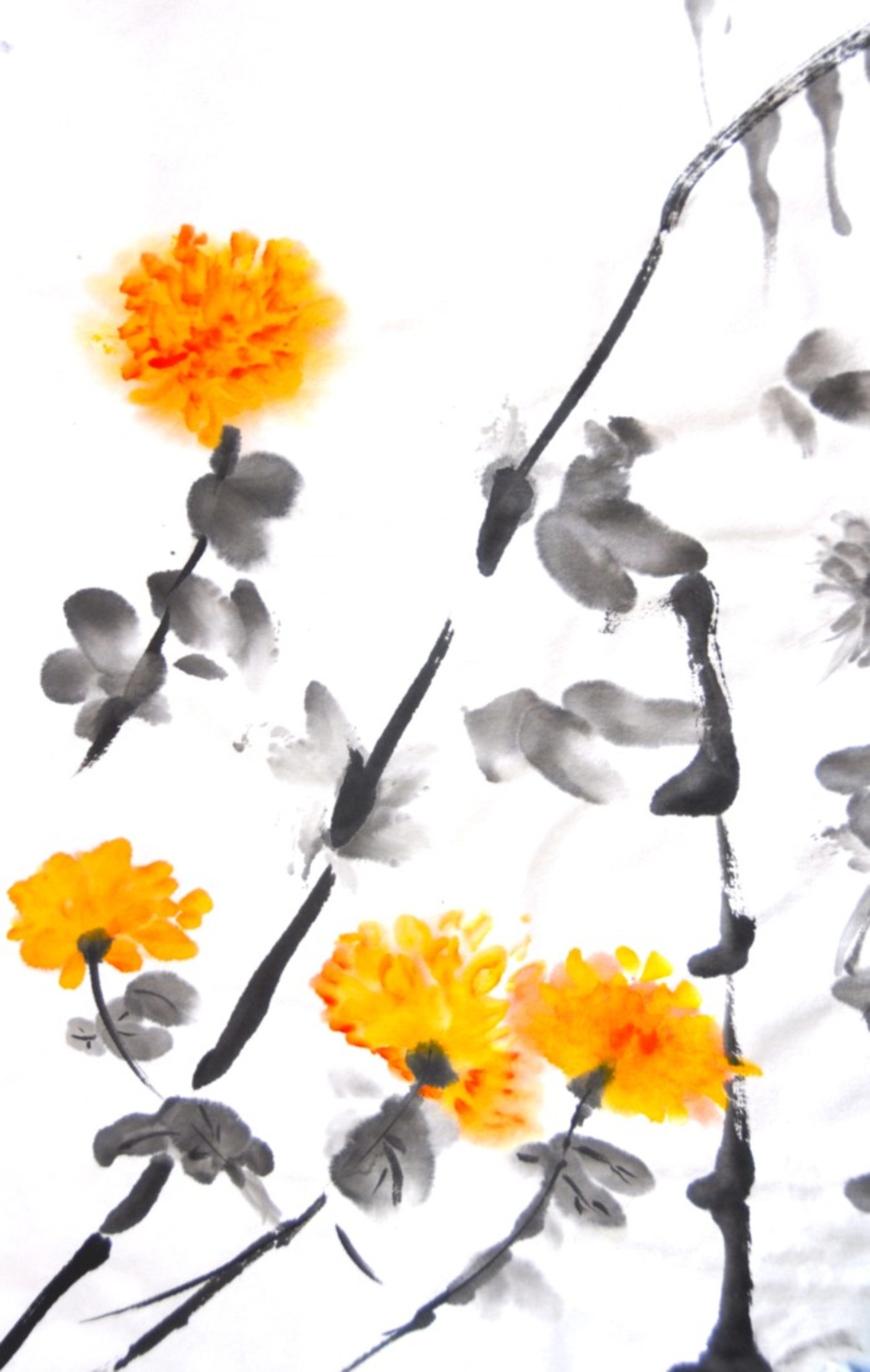 CHRYSANTHEMUMS - OPUS INDICA