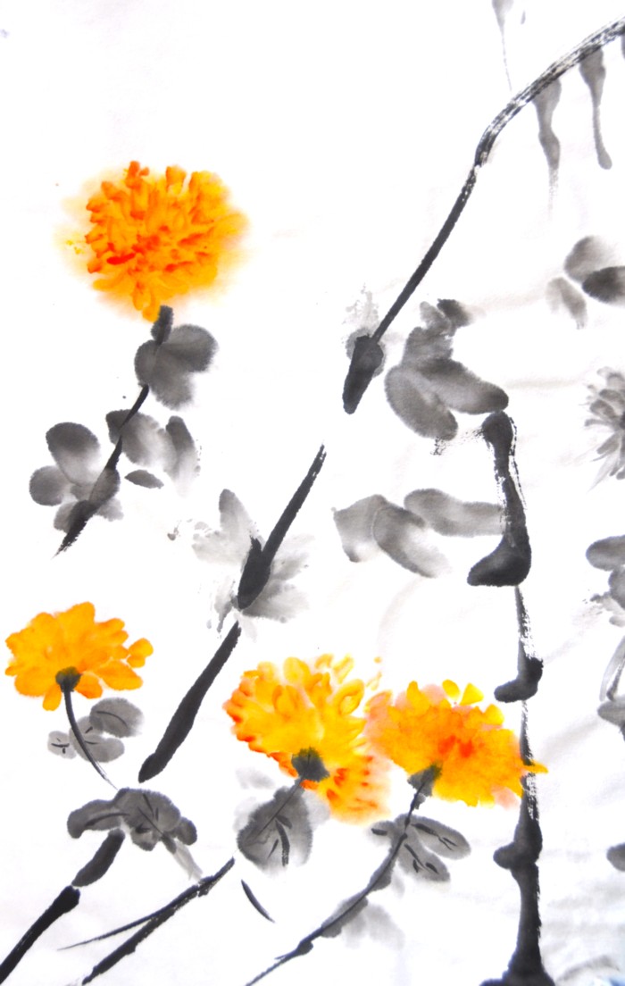 CHRYSANTHEMUMS - OPUS INDICA